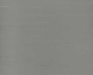 丝雅Y1002