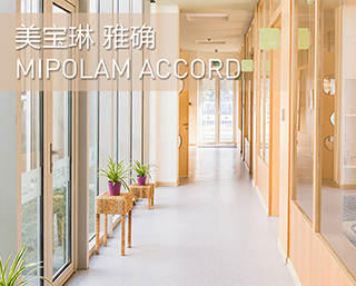 MIPOLAM ACCORD 雅确