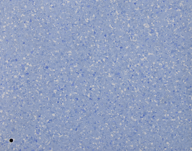 8805.JPG