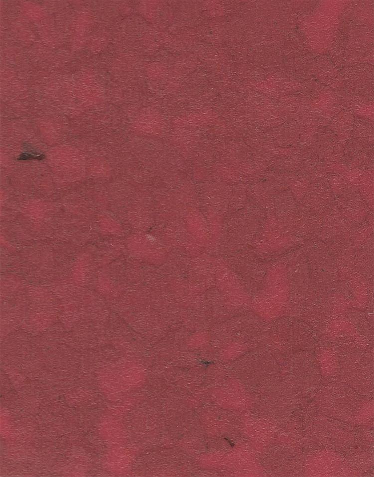 N-8250.jpg
